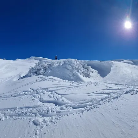 Διαμέρισμα Alpenblick *